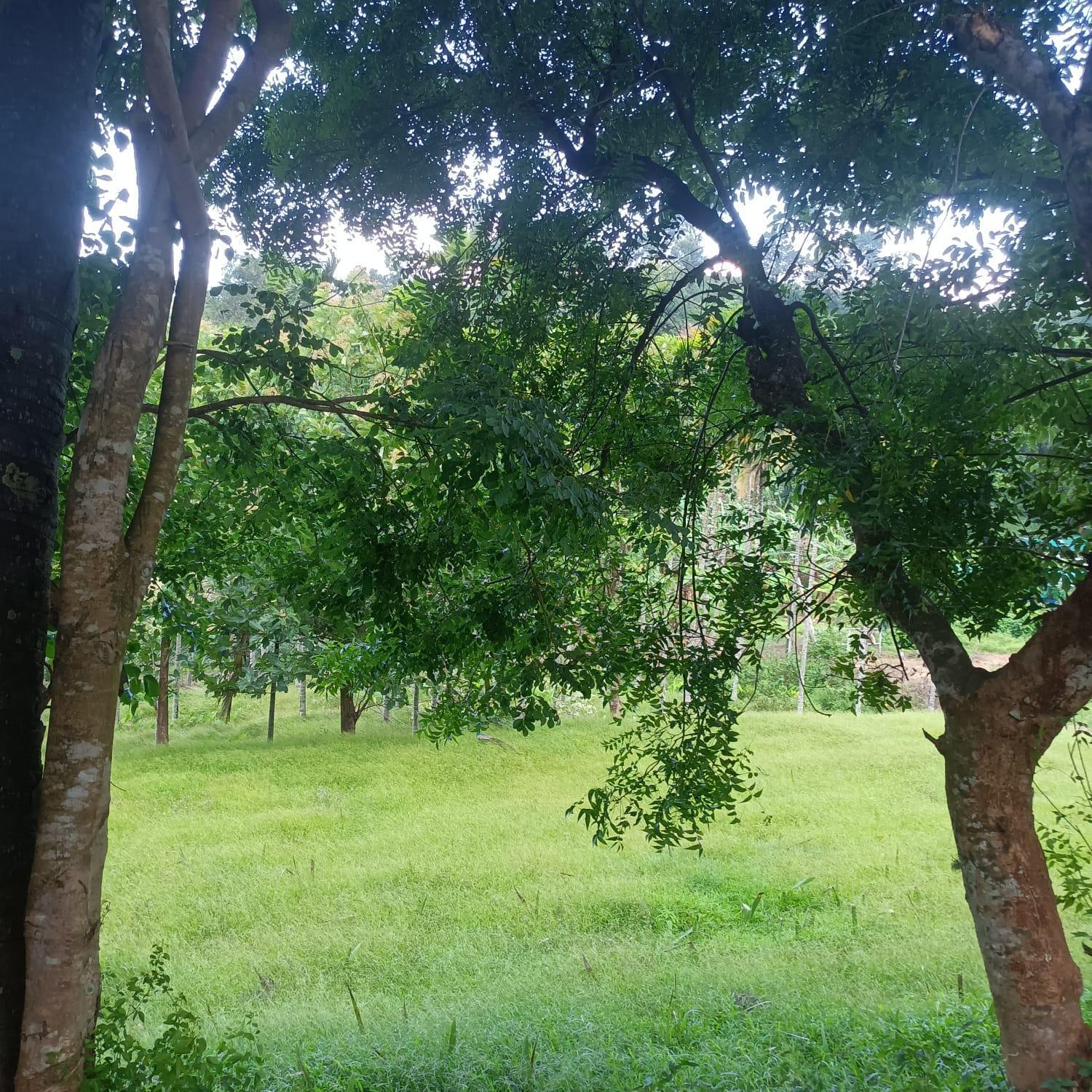 Padavayal Greens Attappadi Exterior photo